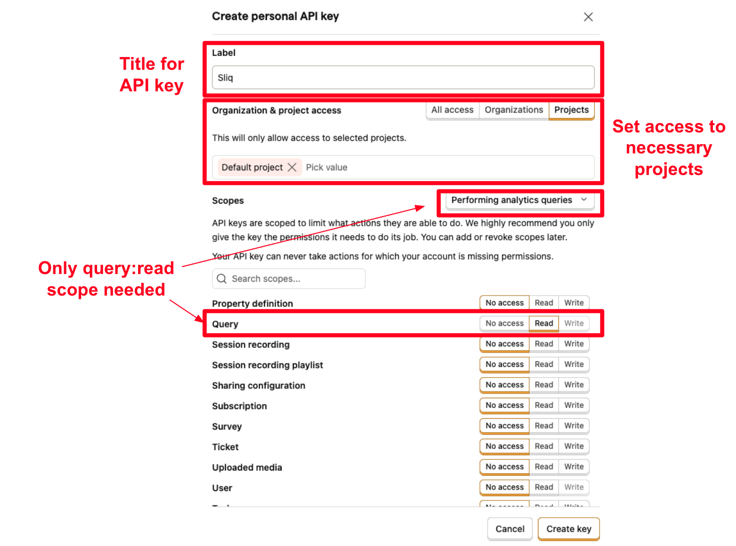 API key configuration — set scopes to query:read